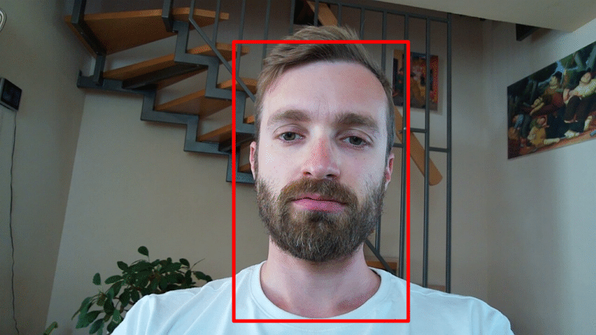 Recommended cropping for sample video